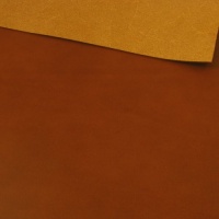 1.2-1.4mm Walpier Buttero 023 Tan Leather A4
